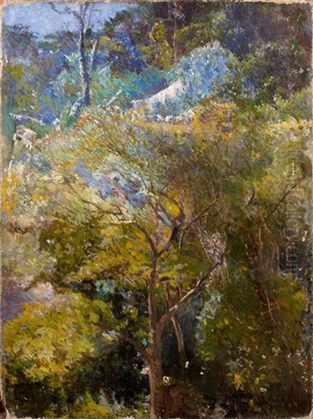 Le Jardin Tropical Oil Painting by Eliseu Visconti