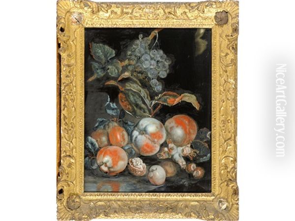 Still Life Of Peaches, Grapes And Nuts Oil Painting by Francois Xavier Vispre