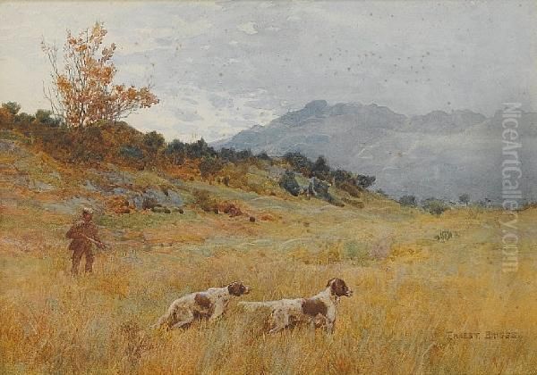 English Setters Oil Painting by Ernest Edward Briggs