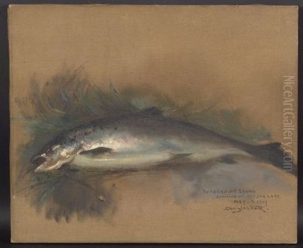 Souvenir Of Keezar Lake/a Still Life With Trout Oil Painting by Douglas Volk