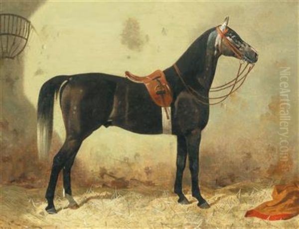 Saddled Horse In The Stable Oil Painting by Emil Volkers