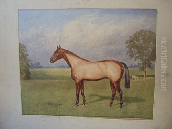 'grakle' - A Racehorse In A Paddock Oil Painting by Alfred Bright