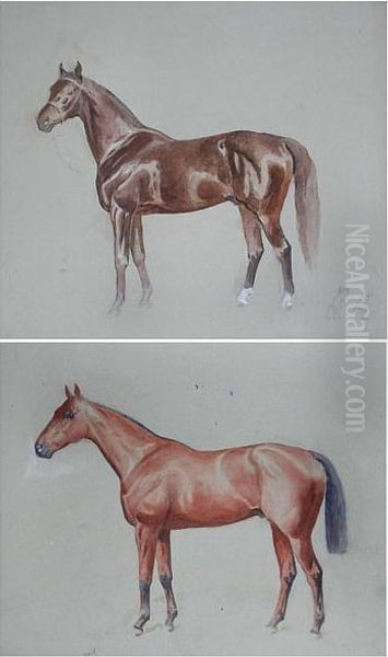 Studies Of Horses Oil Painting by Alfred Bright