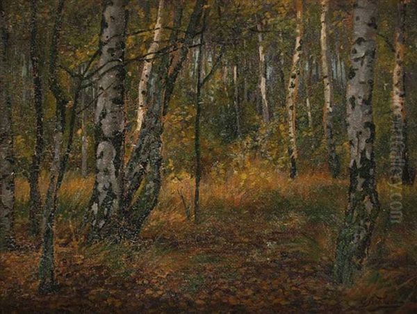 Landschaft Mit Birken Im Fruhherbst Oil Painting by Efim Efimovich Volkov