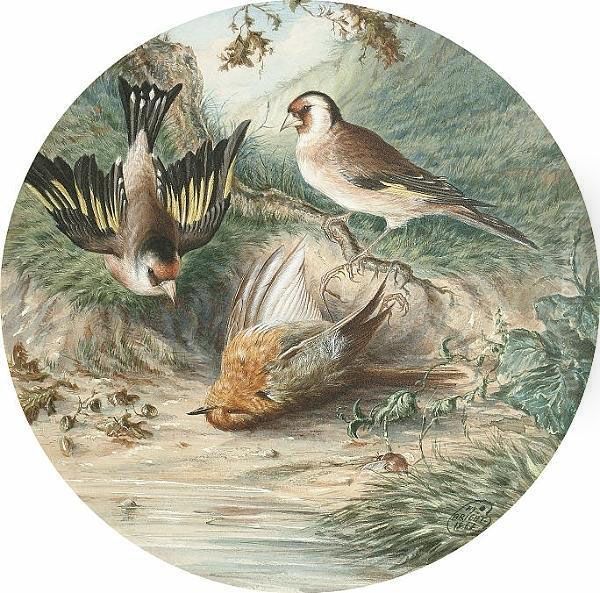 Who Killed Cock Robin Oil Painting by Henry Barnabus Bright