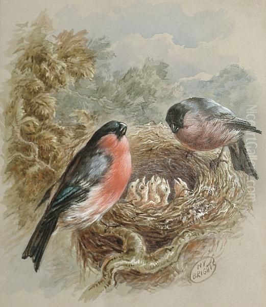 A Pair Of Bullfinches At A Nest Oil Painting by Henry Barnabus Bright