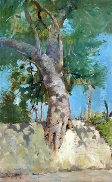 Albero Oil Painting by Vincenzo Volpe