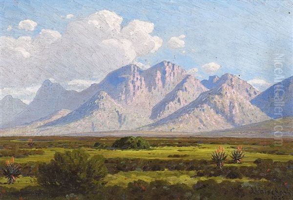 Langeberg Mountains Oil Painting by Jan Ernst Abraham Volschenk