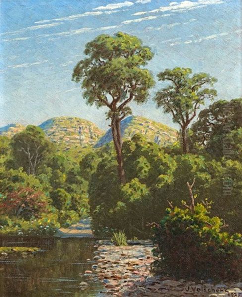 The Groot River Drift, Knysna by Jan Ernst Abraham Volschenk