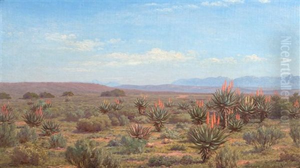 Aloes (or A Glimpse Of Our Veld) (jackalskop) Riversdale Oil Painting by Jan Ernst Abraham Volschenk