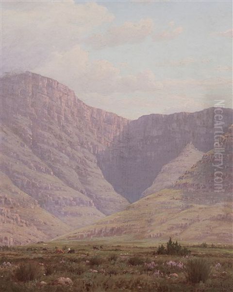 Crag And Kloof (riversdale, South Africa) Oil Painting by Jan Ernst Abraham Volschenk