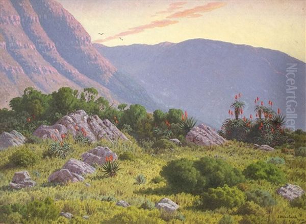 The Glories Of Morn Over Mountain, Rocks And Aloes Spread Oil Painting by Jan Ernst Abraham Volschenk