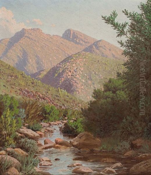 Near The Source Of The Vette River, Riversdale Oil Painting by Jan Ernst Abraham Volschenk