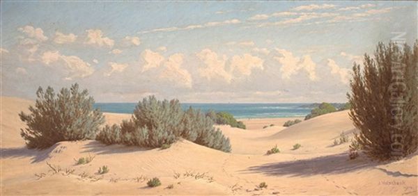 The Sand Dunes Of The Sea Oil Painting by Jan Ernst Abraham Volschenk