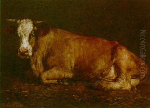 A Cow In A Stable by Richard Voltz