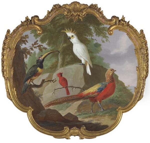 A Sulphur-crested Cockatoo, A Golden Pheasant, A Cardinal And A Toucan In A Landscape Oil Painting by Jacobus Vonck