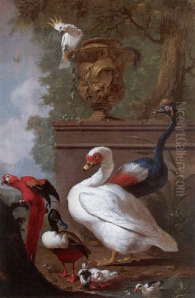 A Muscovy Duck, A Scarlet Macaw, A Sulphur-crested Cockatoo, A Crowned Crane And A Shoveller With Chicks Oil Painting by Jacobus Vonck