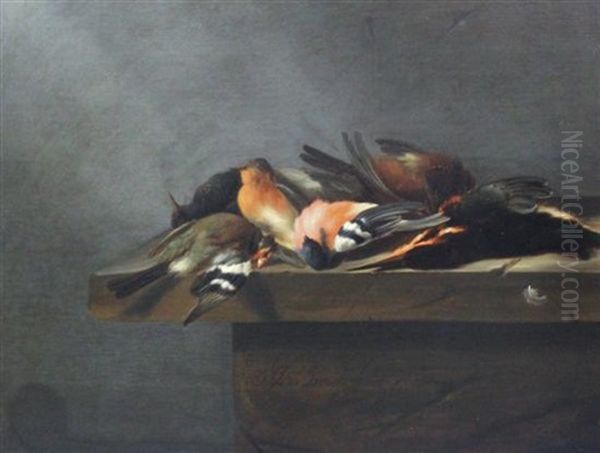 Dead Birds On A Stone Ledge Oil Painting by Jan Vonck