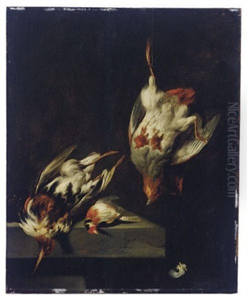 A Partridge And Other Game Birds On A Marble Ledge Oil Painting by Jan Vonck