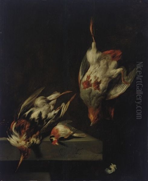 A Partridge And Other Game Birds On A Marble Ledge Oil Painting by Jan Vonck