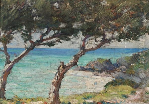 Coastal View With Trees, Probably Bermuda Oil Painting by Clark Greenwood Voorhees