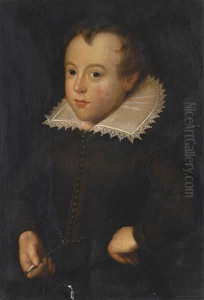 Portrait Of A Boy, Half-length, Wearing A Brown Doublet With A White Lace Collar Oil Painting by Cornelis De Vos