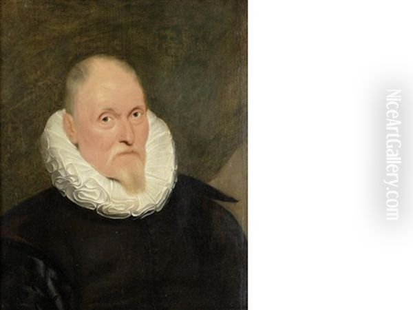 Portrait Of A Gentleman, Bust-length, In A Black Coat And White Ruff Oil Painting by Cornelis De Vos