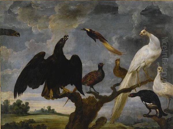 A Concert Of Birds Including An Eagle, A White Peacock And A Bird Of Paradise Oil Painting by Paul de Vos