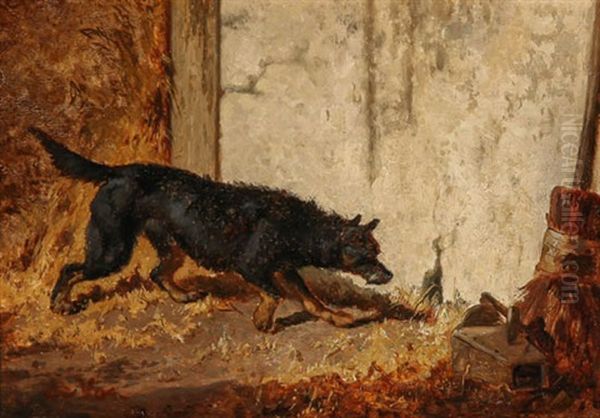 Dog Ratting Oil Painting by Vincent de Vos