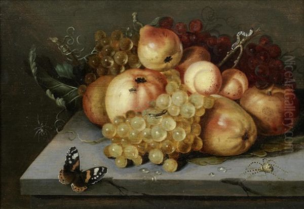 Apples, Grapes, Pears And Apricots On A Stone Ledge With A Butterfly And Spiders Nearby Oil Painting by Jacob Woutersz Vosmaer