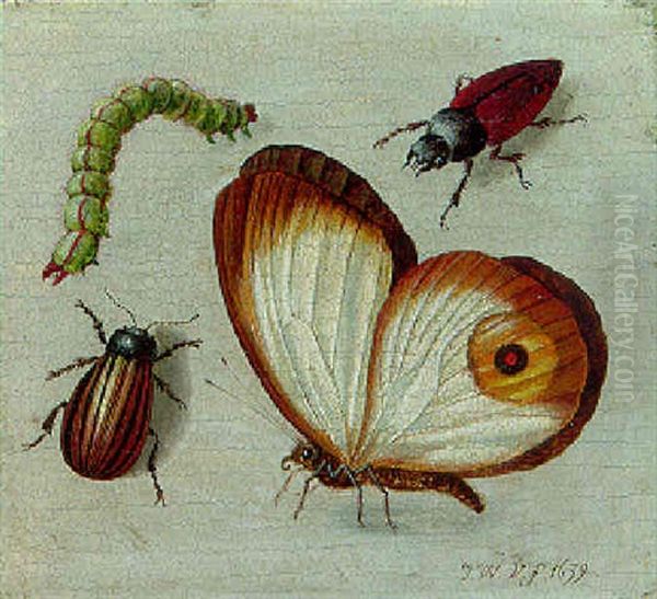 A Butterfly, Two Beetles And A Caterpillar Oil Painting by Jacob Woutersz Vosmaer