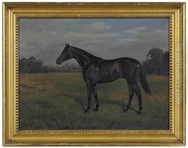 Bay Horse In A Field Oil Painting by Franklin Brook Voss