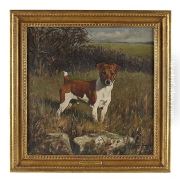 Nipper Of The Pytchley, A Jack Russell Oil Painting by Franklin Brook Voss