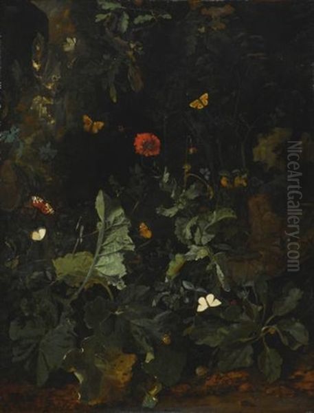 A Forest Floor Still Life With Flowering Plants And Butterflies Oil Painting by Nicolaes de Vree