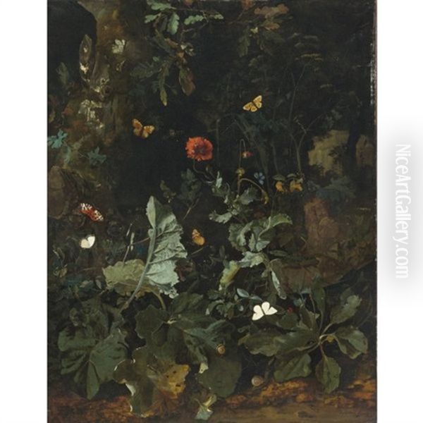 A Forest Floor Still Life With Flowering Plants And Butterflies Oil Painting by Nicolaes de Vree