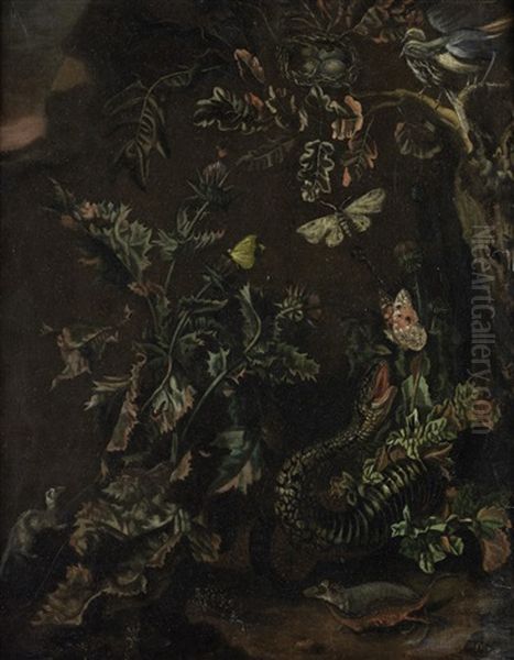 A Forest Floor Still Life With A Thistle, A Bird's Nest, Butterflies, A Snake, And Other Animals Oil Painting by Isac Vromans