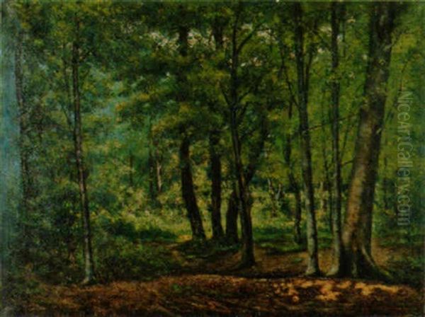 Sommerliche Waldlandschaft Oil Painting by Charles Vuagniaux