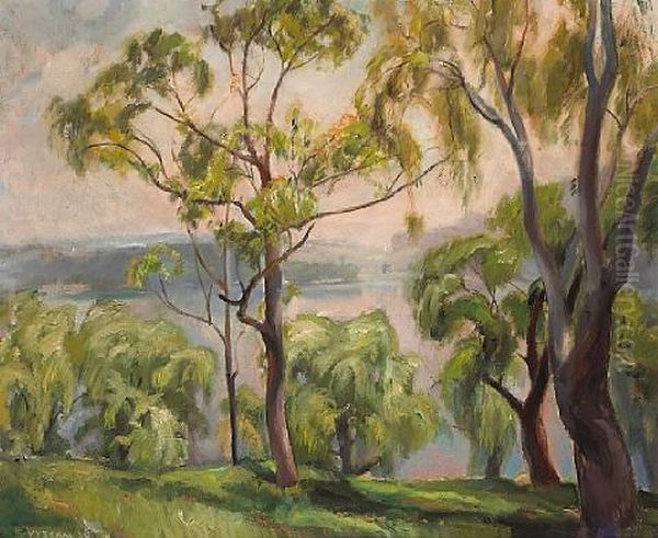 Above Silver Lake Oil Painting by Edouard Vysekal