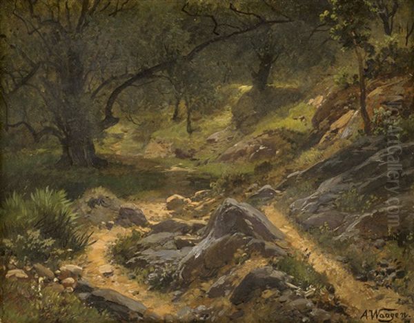 Waldlandschaft Mit Steinigem Pfad Oil Painting by Adalbert Waagen