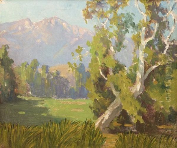 Sycamore Landscape Oil Painting by Marion Kavanaugh Wachtel