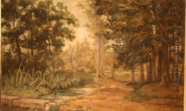 Foret Et Ruisseau Oil Painting by Edmond Louis Marie Wagrez