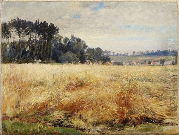 Falt Med Vallmo Oil Painting by Alfred Wahlberg