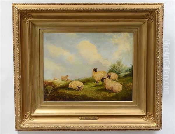 Sheep In A Meadow Oil Painting by Thomas Francis Wainewright