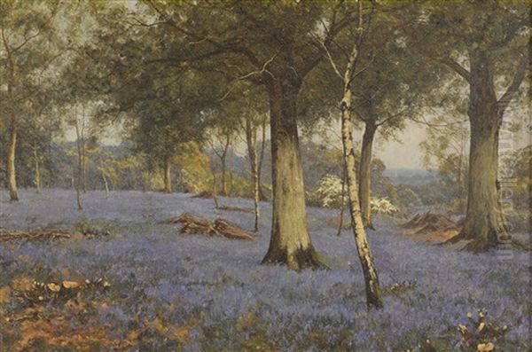 Edward Wilkins Waite (1854-1924), Oil On Canvas, Bluebell Woods, Signed Lower Right 49cm X 75cm Oil Painting by Edward Wilkins Waite