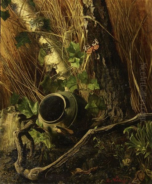 Waldbodenstillleben by Freiin Mathilde von Waldenfels