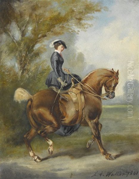 Elegante Reiterin Im Damensattel Oil Painting by James Alexander Walker