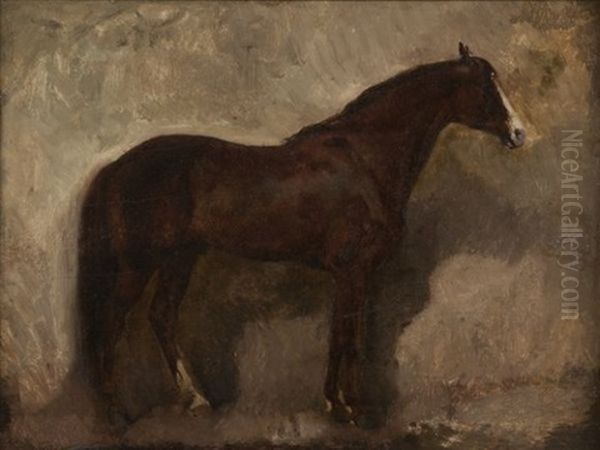 Portrait De Cheval Oil Painting by James Alexander Walker