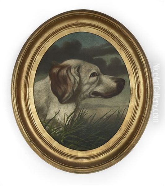 Hunting Dog Oil Painting by William Aiken Walker