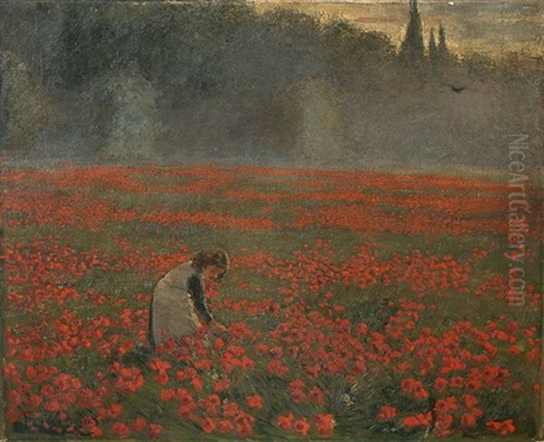 Madchen Beim Blumen Pflucken In Einem Mohnfeld by Franz Wallischeck