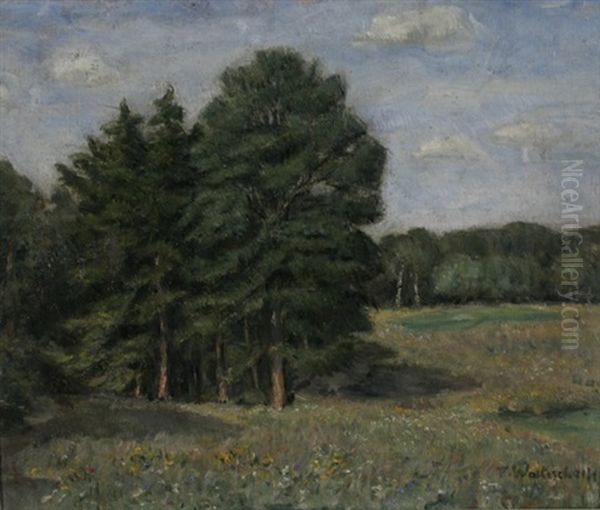 Odenwalder Landschaft Mit Bluhenden Wiesen Und Wald Oil Painting by Franz Wallischeck